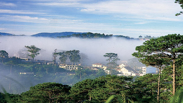 Mục tiêu và định hướng phát triển giai đoạn 2021-2025